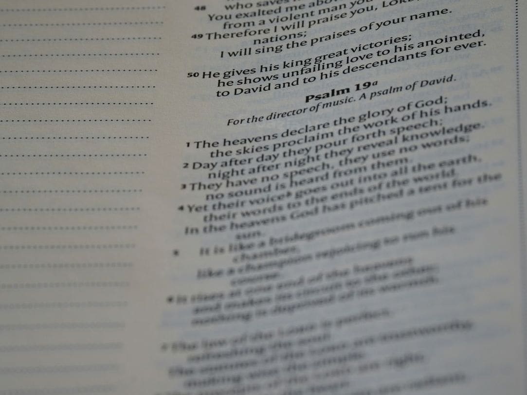 Supporto grammaticale e revisione di testi in croato